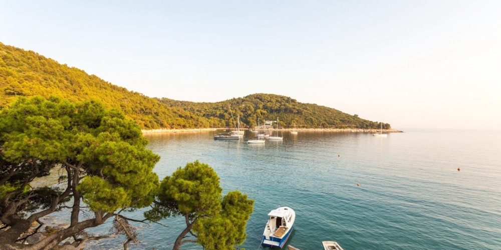 mljet