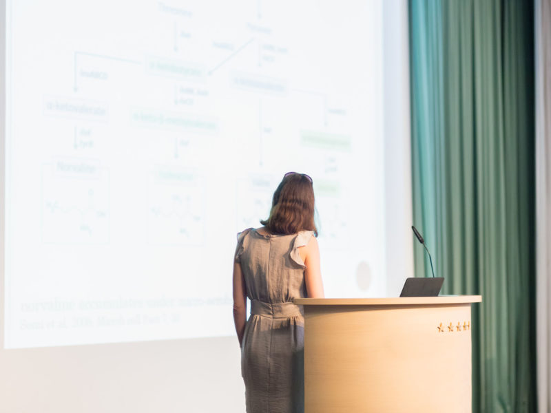 office365_powerpoint_dizajner