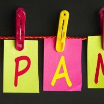 spam