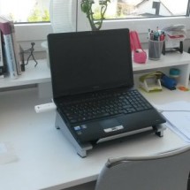 profesionalna_organizatorica