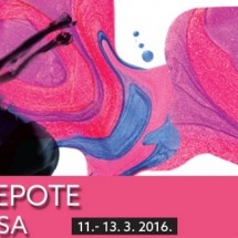 Women_in_Adria_na_Danima_ljepote