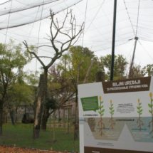 Zoo_Volijerazaafrickepticesbiofiltrom