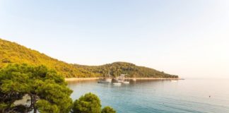 mljet