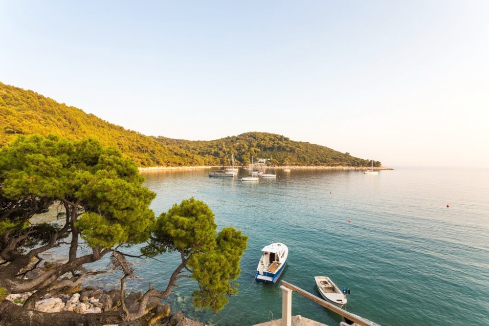 mljet