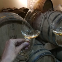 Vinarija-Jeremić