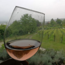 Vinarija-Plavinci-Rose