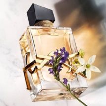 ysl libre