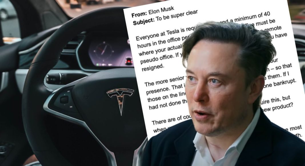 elon musk brutalan