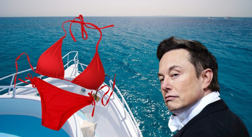 elon musk žena