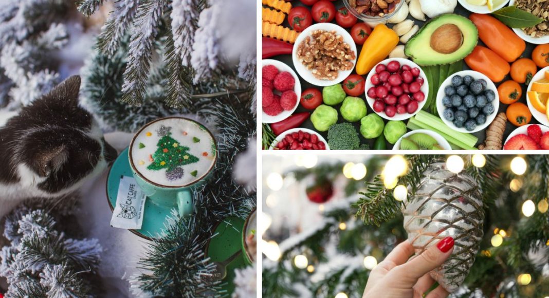 advent uz more
