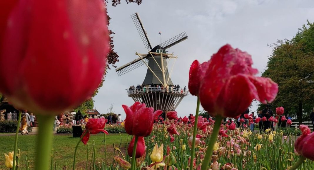 Keukenhof