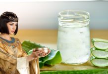 aloe vera