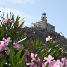 Palagruža (5)