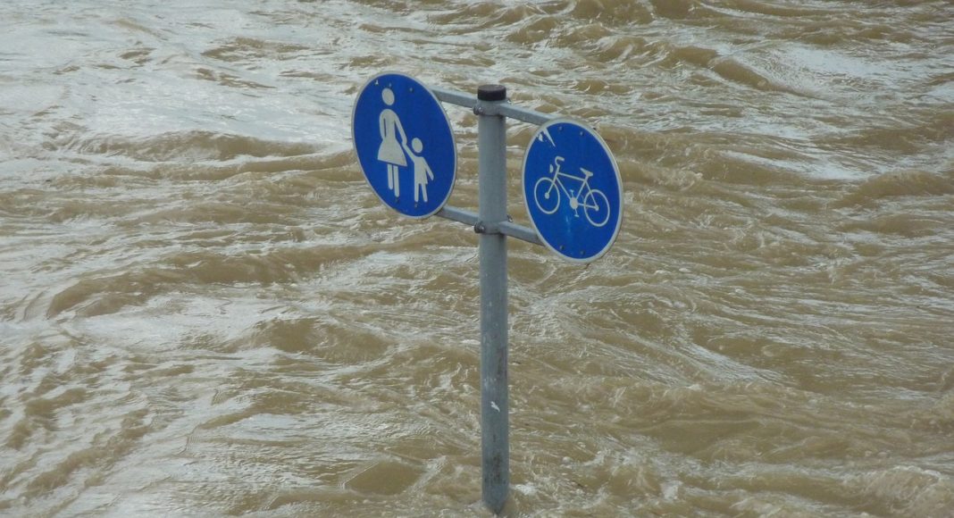 žene i klimatske promjene