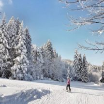 Mariborsko-Pohorje