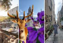 Iskustva koja se ne zaboravljaju – vikend na Korčuli uz jelene, magarace i žrnovske makarune grad korčula
