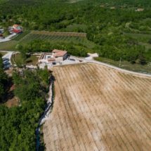 vinarija-juricic-1-1