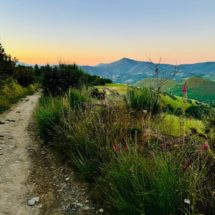 Camino-de-Santiago-1-2