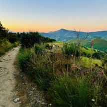 Camino-de-Santiago-1