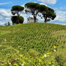 Camino-de-Santiago-3-1