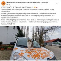 Dumovec
