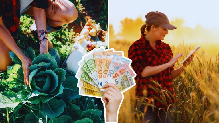 Rastu minimalne poljoprivredne potpore