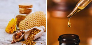 propolis