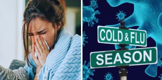 sezona prehlade i gripe