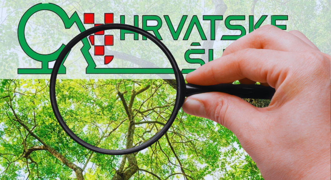 potpore u Hrvatskim šumama