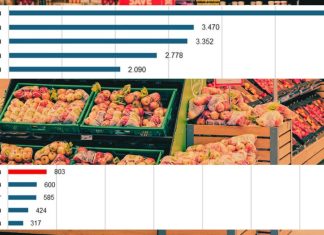 top lista izvoza hrane