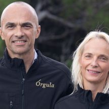Petar Zekan, Orgula