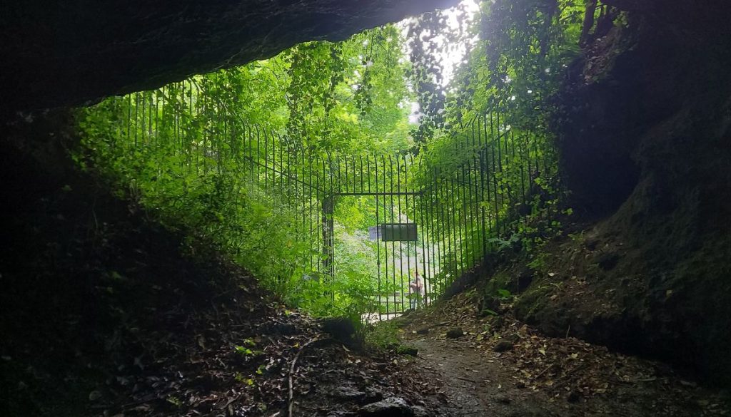 veternica