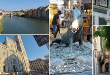 Firenca