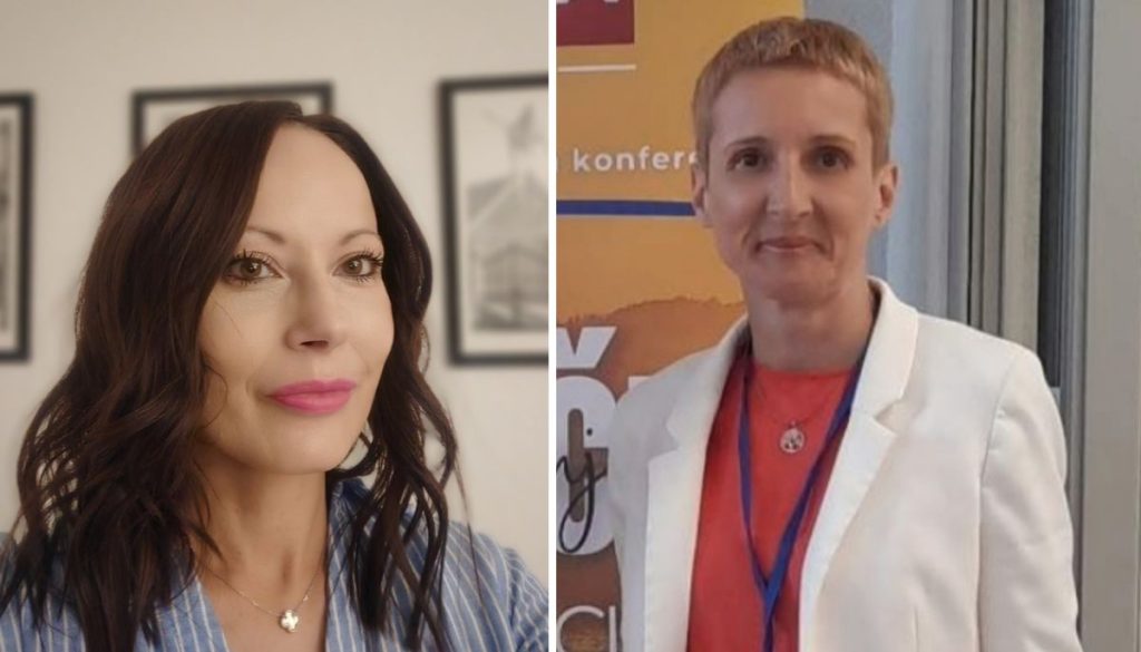 istraživanje