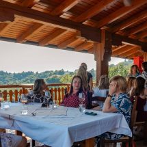 Plešivica Summer Mingles