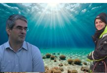 zagrijavanje mora