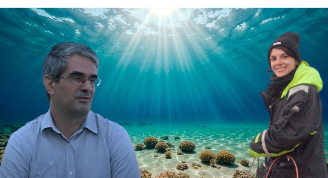 zagrijavanje mora