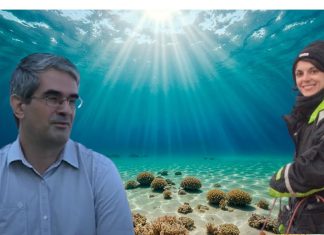 zagrijavanje mora