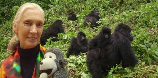 Jane Goodall