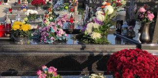 Svijeće, krizanteme i sjećanja: Što znače Sisvete i zašto groblja pretvaramo u more svjetlosti