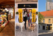 Pet home shop