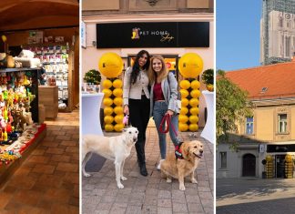Pet home shop