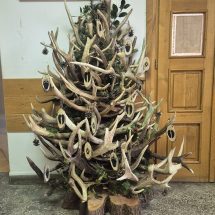 601011311_1329454855862607_246965191581444388_n