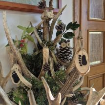 601022489_1329455112529248_826477346402872527_n