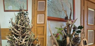 Božićno drvce kakvo nikad niste vidjeli: Ne radite ga kod kuće – kršili biste zakon! jelenje drvce