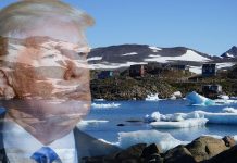 trump grenland
