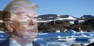 trump grenland