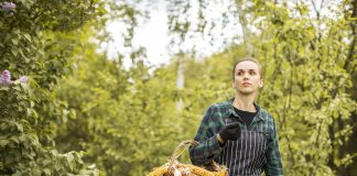 žene u poljoprivredi