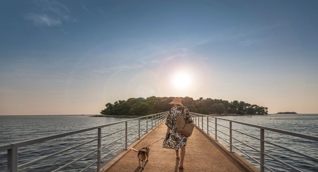 Kamp Koversada Covered