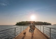 Kamp Koversada Covered